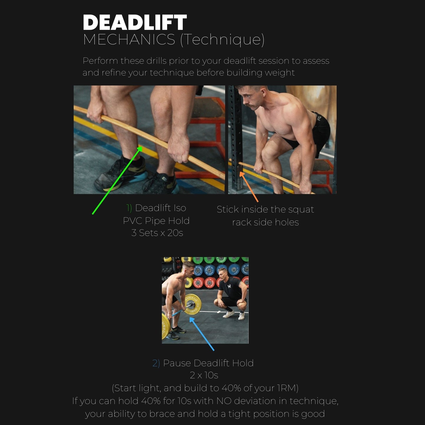 Muscle Building Program
